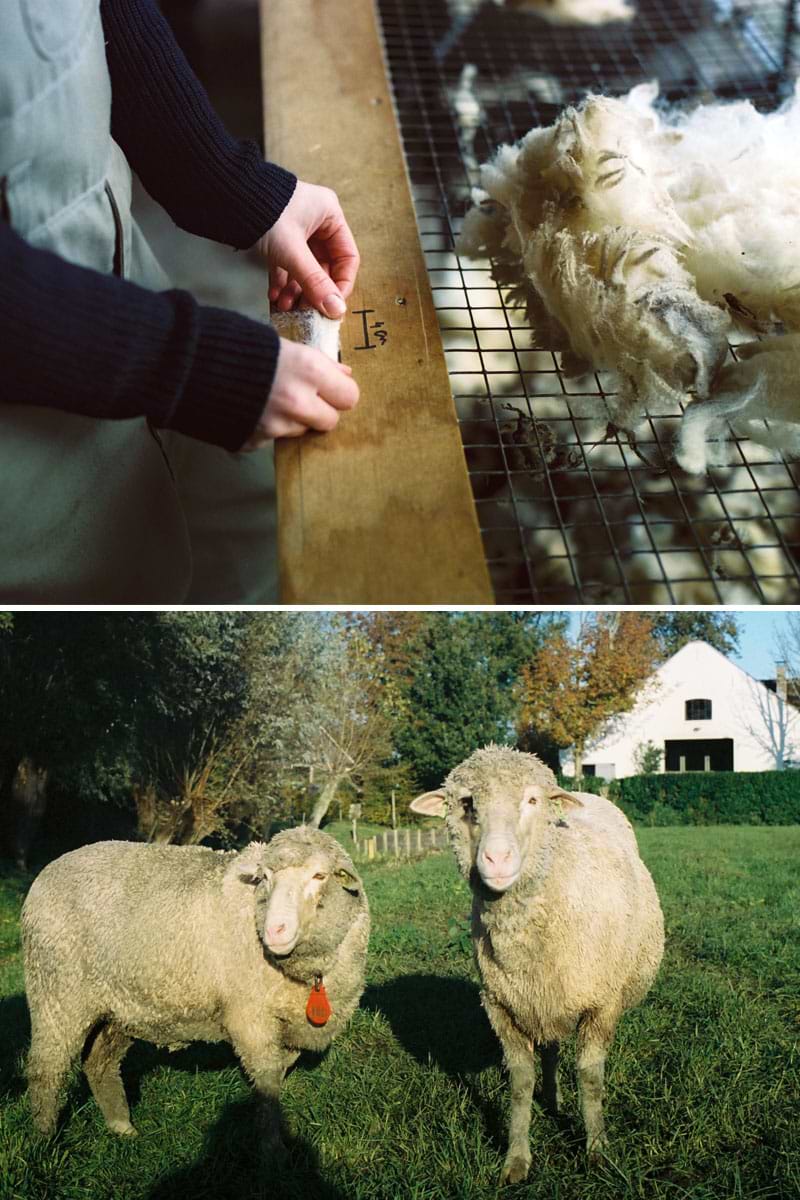 Jan Merino Kabel Deken Naturel Ongeverfd