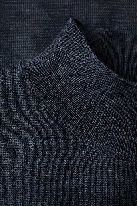 Turtle 3D Blue Whale - Base Image