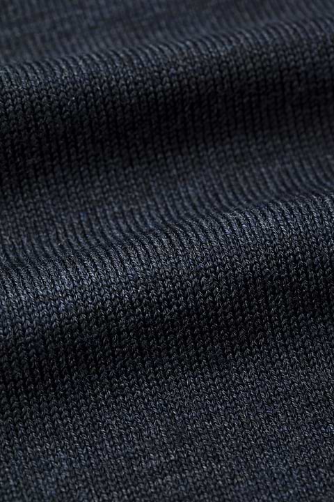 Turtle 3D Blue Whale - Base Image