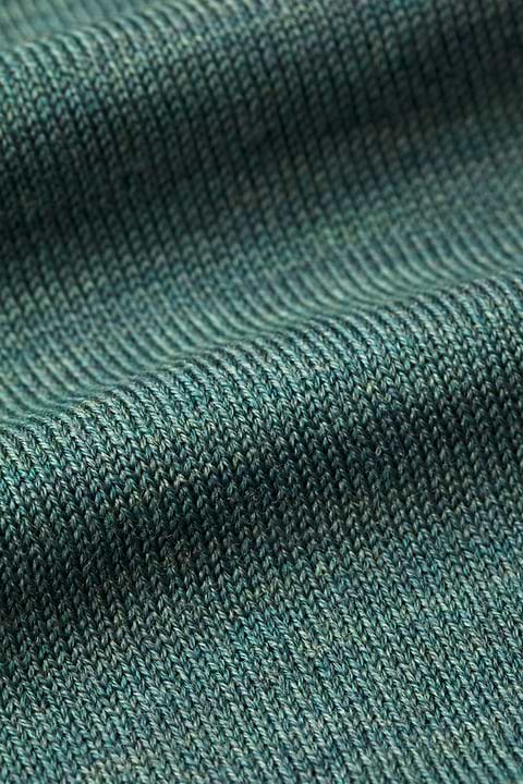 Turtle 3D Cloud Forest - Base Image