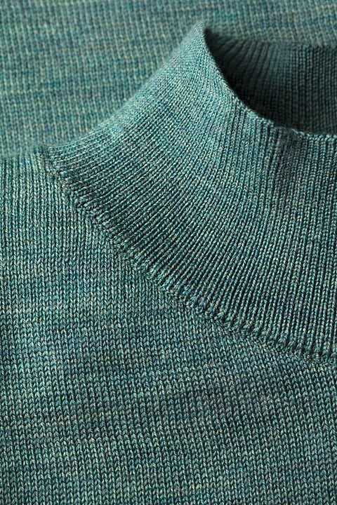 Turtle 3D Cloud Forest - Base Image