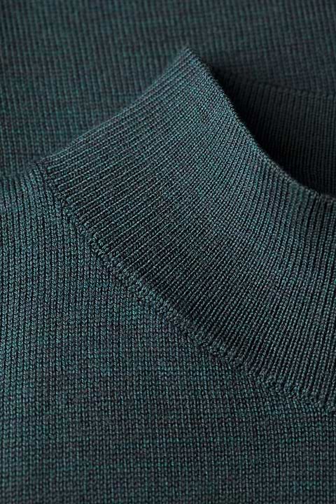 Turtle 3D Proud Peacock - Base Image