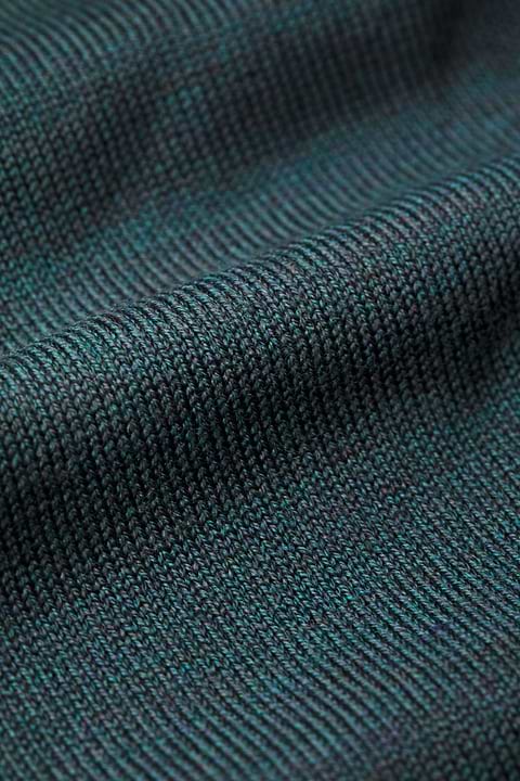 Turtle 3D Proud Peacock - Base Image