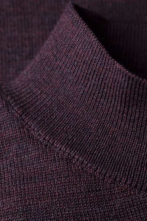 Turtle 3D Queen Of The Night - Base Image