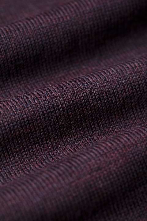 Turtle 3D Queen Of The Night - Base Image