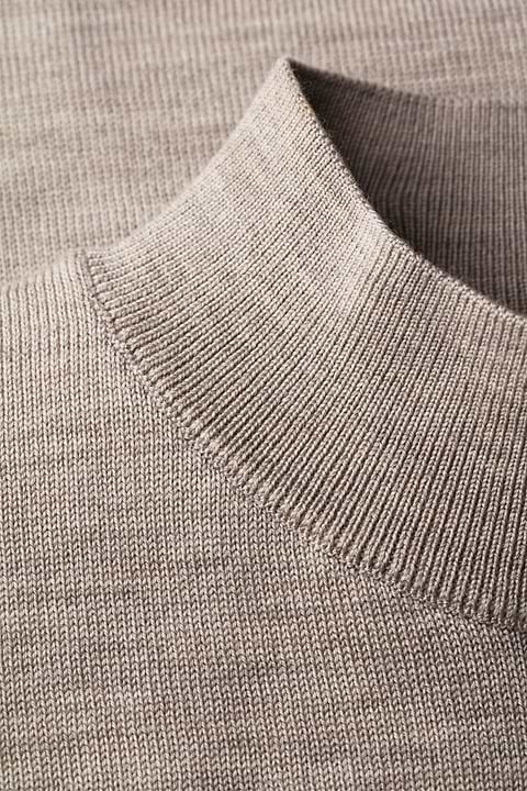 Turtle 3D Desert Beige - Base Image