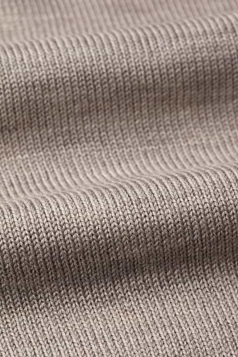 Turtle 3D Desert Beige - Base Image