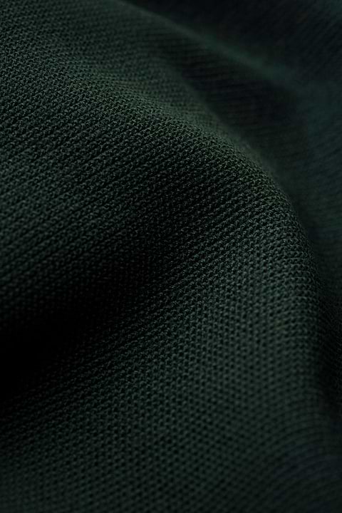 Joe Bee Very Dark Green - Base Image