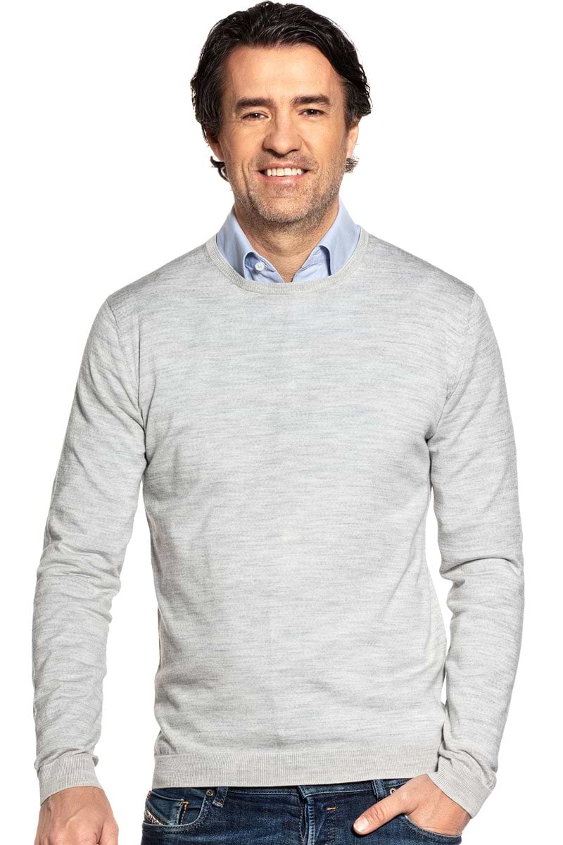 Joe Classic Crew Dover Grey