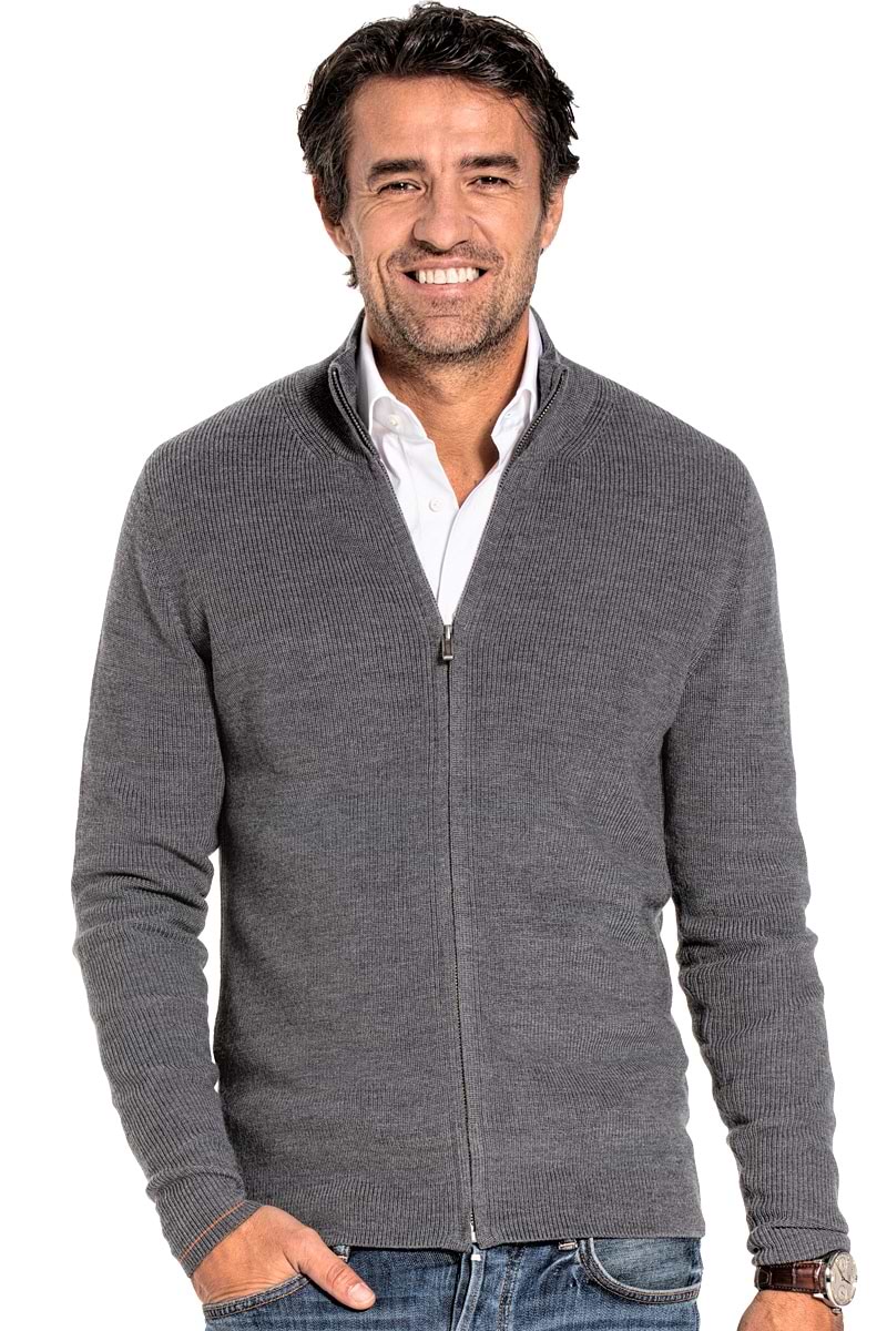 Joe Ribzip Harvard Grey