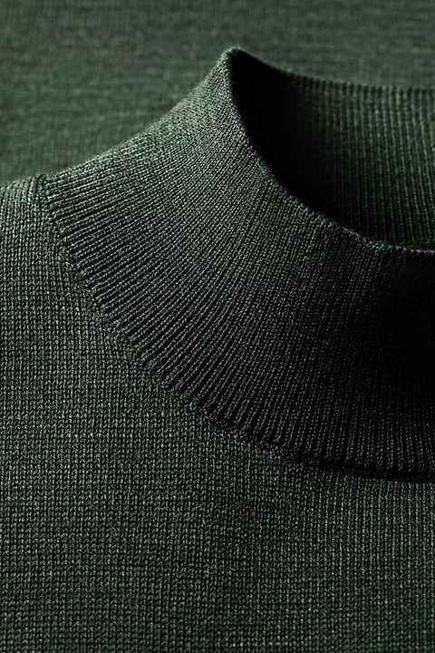 Turtle 3D British Green - Base Image