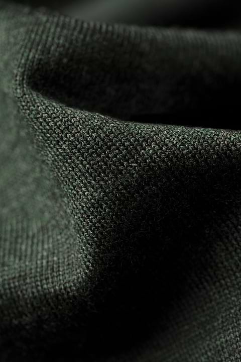 Turtle 3D British Green - Base Image