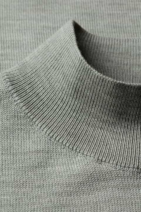 Turtle 3D Hazy Green - Base Image