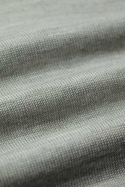 Turtle 3D Hazy Green - Base Image