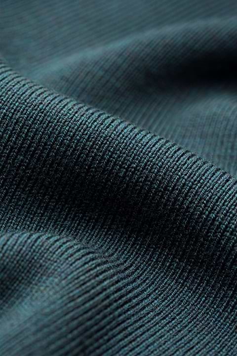 Sailor Zip Proud Peacock - Base Image