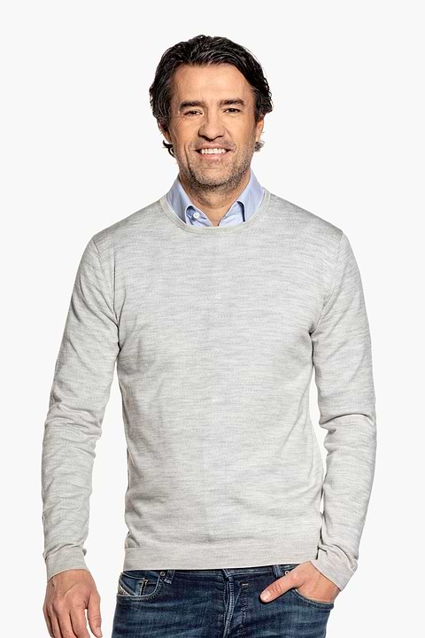 Joe Classic Crew Dover Grey - Base Image