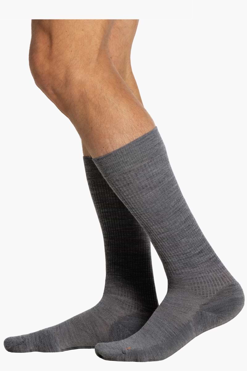 Performance Sock Harvard Grey 2-Pack