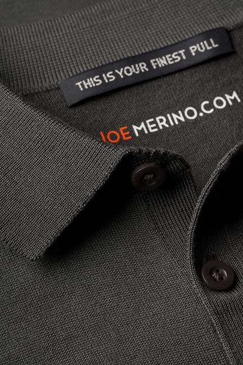 Polo Pullover Bold Eagle - Base Image