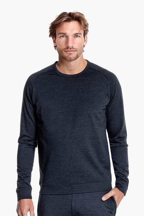 Joe Sweatshirt Blue Whale - Base Image