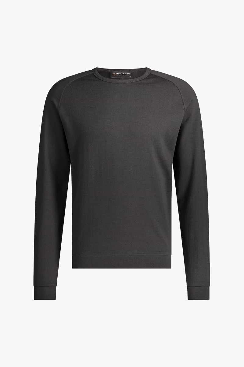 Joe Sweatshirt Bold Eagle