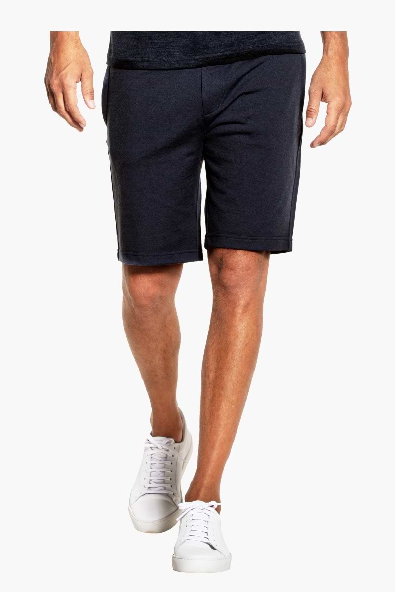 Joe Sweatshorts Blue Grey