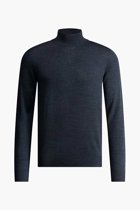 Turtle 3D Blue Whale - Base Image