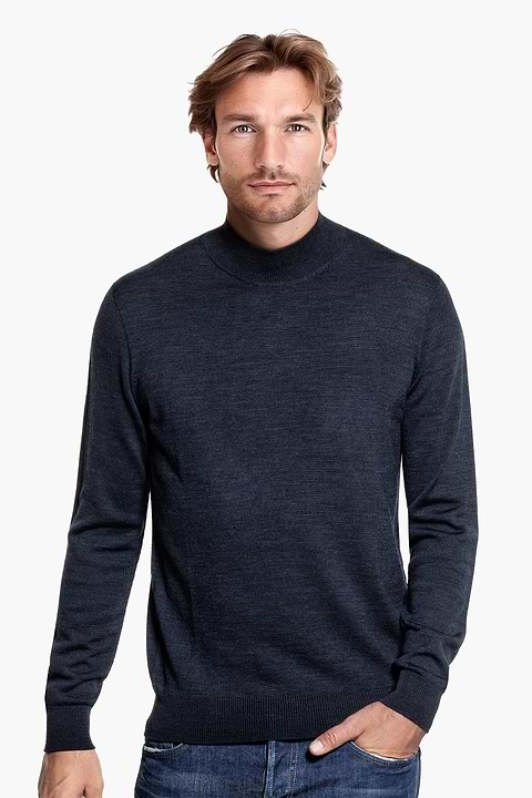 Turtle 3D Blue Whale - Base Image