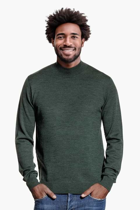 Turtle 3D British Green - Base Image