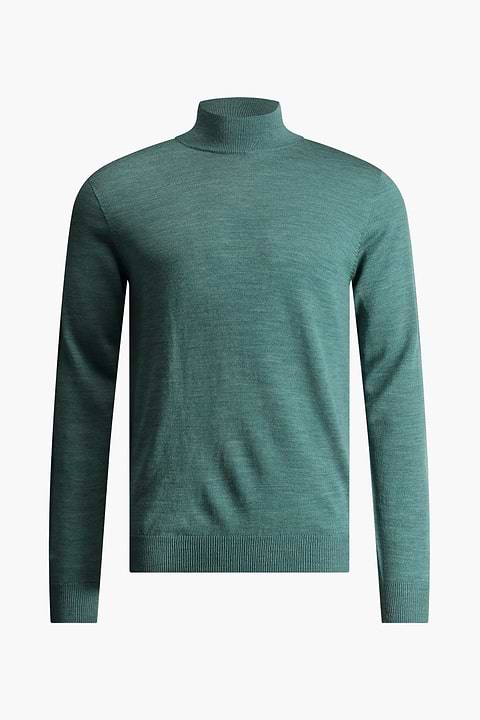 Turtle 3D Cloud Forest - Base Image