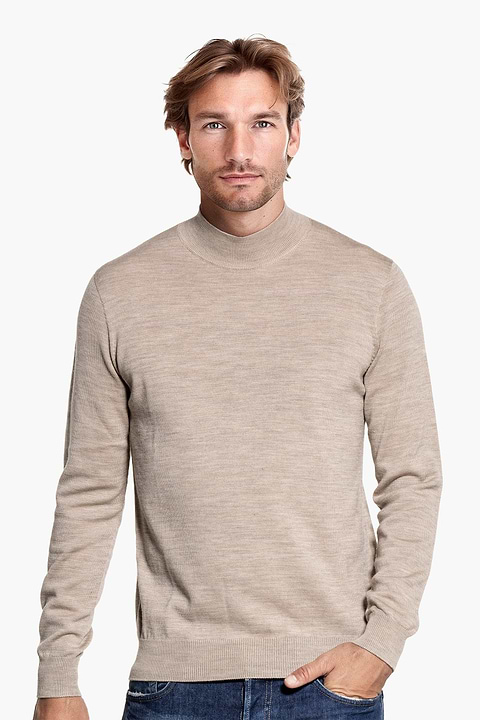 Turtle 3D Desert Beige - Base Image