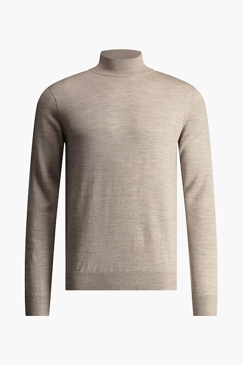 Turtle 3D Desert Beige - Base Image