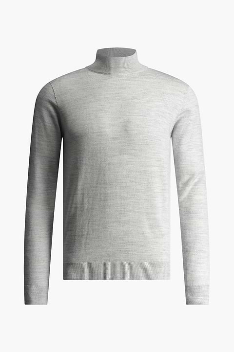 Turtle 3D Dover Grey - Base Image