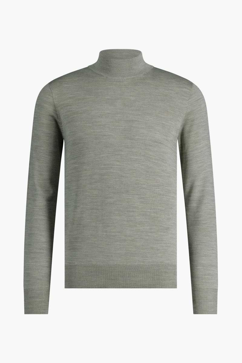 Turtle 3D Hazy Green