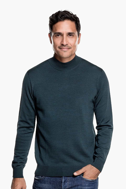 Turtle 3D Proud Peacock - Base Image