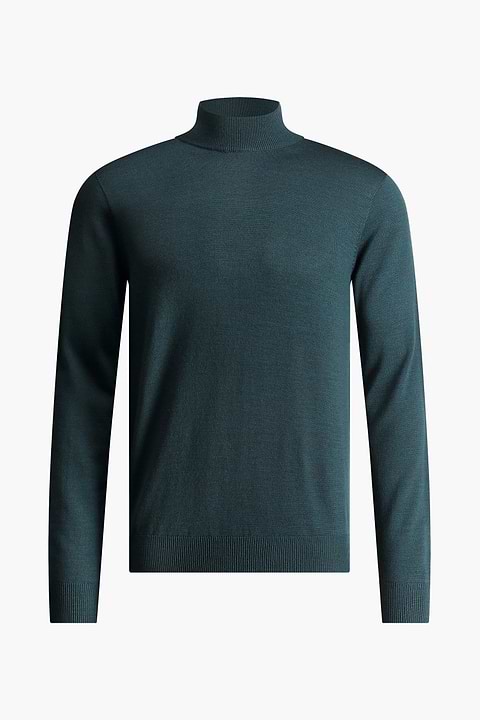 Turtle 3D Proud Peacock - Base Image