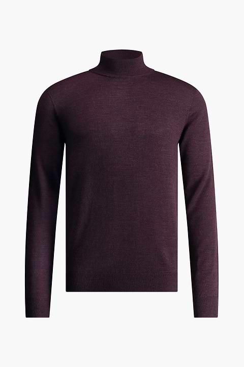 Turtle 3D Queen Of The Night - Base Image