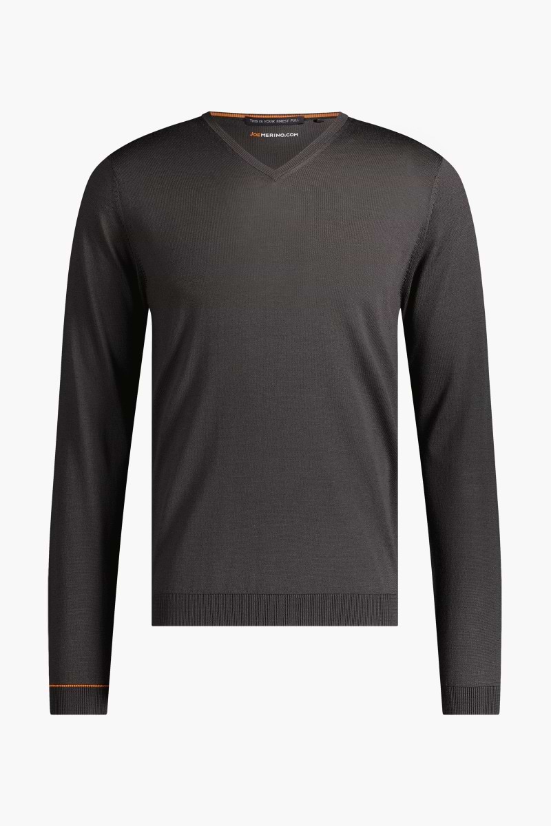 Joe V-Neck Bold Eagle