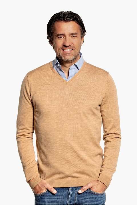 Joe V-neck French Cognac - Base Image