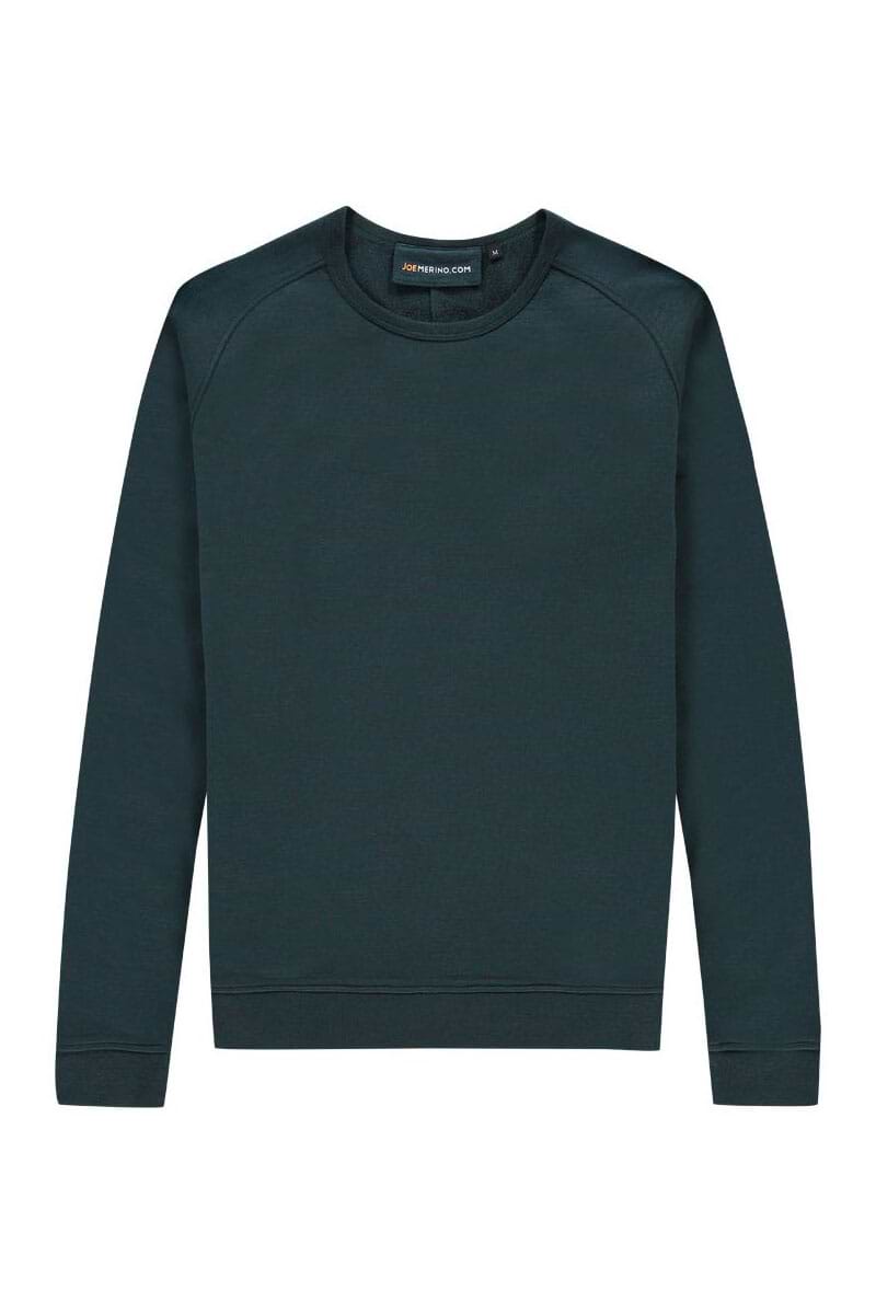 Herren Pullover sportlich grün